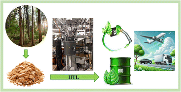 Graphical abstract: Advancing hydrothermal liquefaction of Canadian forestry biomass for sustainable biocrude production: co-solvent integration, co-liquefaction, and process optimization