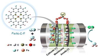 Graphical abstract: Fluorine-rich Schiff base ligand derived Fe/N–C–F and Co/N–C–F catalysts for the oxygen reduction reaction: synthesis, experimental validation, and DFT insights