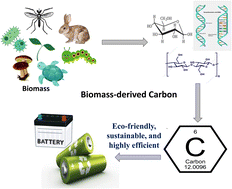 Graphical abstract: Biomass-derived carbon materials for sustainable energy applications: a comprehensive review