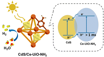 Graphical abstract: Understanding charge separation in CdS/Ce-UiO66-NH2 heterojunctions for enhanced photocatalytic hydrogen evolution