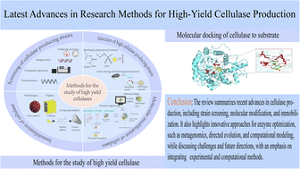 Graphical abstract: Latest advances in research methods for high-yield cellulase production