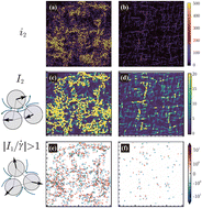 Graphical abstract: Heterogeneous solvent dissipation coupled with particle rearrangement in shear-thinning non-Brownian suspensions
