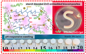 Graphical abstract: Anionic starch-based hybrid cryogel-embedded ZnO nanoparticles: tuning the elasticity and pH-functionality of biocomposites with dicarboxylic acid units