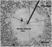 Graphical abstract: Unveiling unique scaling behavior in miscible, volatile Marangoni spreading