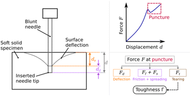 Graphical abstract: Force decomposition and toughness estimation from puncture experiments in soft solids
