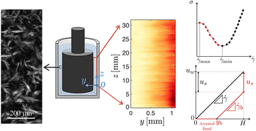 Graphical abstract: Interplay between wall slip and shear banding in a thixotropic yield stress fluid