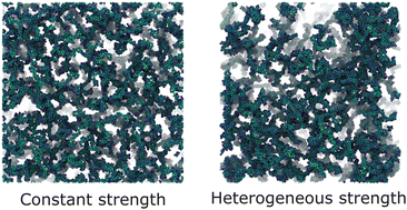 Graphical abstract: Small variations in particle-level interactions lead to large structural heterogeneities in colloidal gels