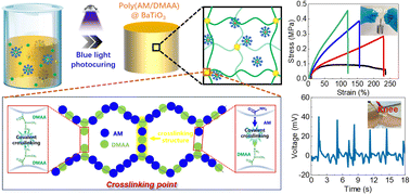 Graphical abstract: A tough and piezoelectric poly(acrylamide/N,N-dimethylacrylamide) hydrogel-based flexible wearable sensor