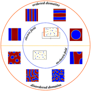 Graphical abstract: Ordered patterns in electroactive polymer ionic liquid blends: effect of long range interactions