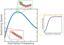 Graphical abstract: Influence of the frequency on undulatory swimming speed in granular media