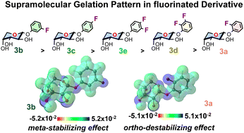 Graphical abstract: Understanding the gelation properties of the fluorophenyl glycosides of arabinoside gelators: experimental and theoretical studies