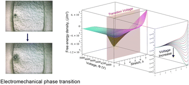 Graphical abstract: Microscopic in situ observation of electromechanical instability in a dielectric elastomer actuator utilizing transparent carbon nanotube electrodes