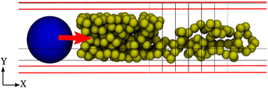 Graphical abstract: Jamming crossovers in a confined driven polymer in solution