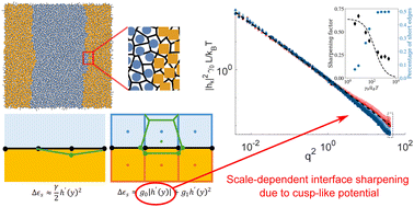 Graphical abstract: Scale-dependent sharpening of interfacial fluctuations in shape-based models of dense cellular sheets