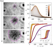 Graphical abstract: Viologen-based supramolecular crystal gels: gelation kinetics and sensitivity to temperature