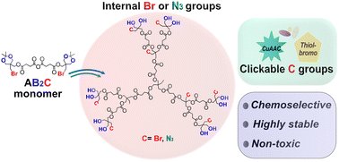 Graphical abstract: Synthesis, evaluation and modification of heterofunctional polyester dendrimers with internally queued bromide groups
