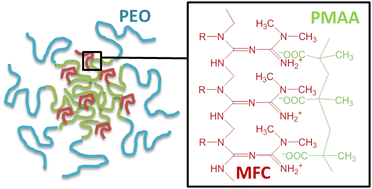 Graphical abstract: Interpolyelectrolyte complexes of a biguanide cationic polyelectrolyte: formation of core/corona nanoparticles with double-hydrophilic diblock polyanion