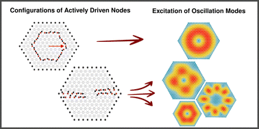 Graphical abstract: Tuning collective actuation of active solids by optimizing activity localization