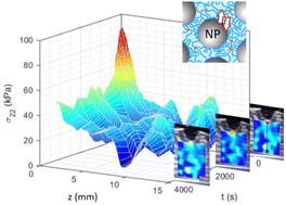 Graphical abstract: Stress amplification and relaxation imaging around cracks in nanocomposite gels using ultrasound elastography
