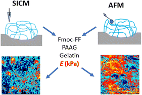 Graphical abstract: Mechanical properties of soft hydrogels: assessment by scanning ion-conductance microscopy and atomic force microscopy