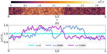Graphical abstract: Banded phases in topological flocks