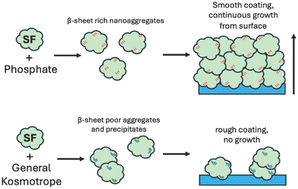 Graphical abstract: The role of phosphate in silk fibroin self-assembly: a Hofmeister study