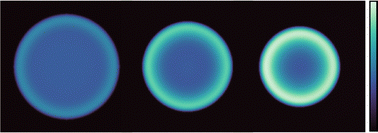 Graphical abstract: Diffusive evaporation dynamics in polymer solutions is ubiquitous