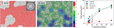 Graphical abstract: Structure, dynamics and phase transitions in electric field assembled colloidal crystals and glasses