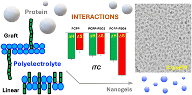 Graphical abstract: Protein–polyelectrolyte complexation: effects of sterically repulsive groups, macromolecular architecture and hierarchical assembly