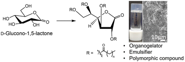 Graphical abstract: Synthesis of d-glucono-1,4-lactones modified with linear saturated fatty acids as novel low molecular-weight organogelators and evaluation of their physical properties