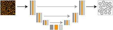 Graphical abstract: Colloidoscope: detecting dense colloids in 3D with deep learning