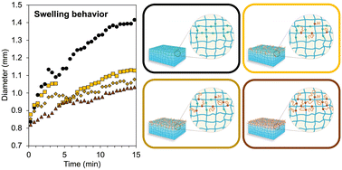 Graphical abstract: Regulation of swelling behaviour while preserving bulk modulus in hydrogels via surface grafting