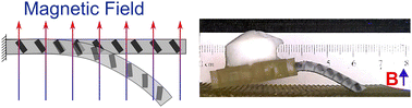 Graphical abstract: Pattern architected soft magnetic actuation