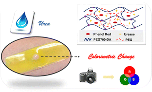 Graphical abstract: Development of colorimetric PEG-based hydrogel sensors for urea detection