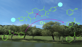 Graphical abstract: Oxidative cleavage of β-O-4 bonds in lignin model compounds with polymer-supported Ni–Salen catalysts