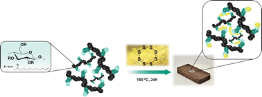 Graphical abstract: High sulfur content composite materials from renewable fatty acid cellulose esters (FACEs) via inverse vulcanization
