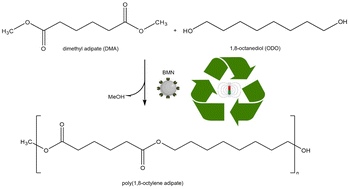 Graphical abstract: Solventless polyester synthesis using a recyclable biocatalyst magnetic nanoarchitecture