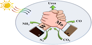 Graphical abstract: Photosynthesis of urea from N2 and CO2 using dual active site SiW6Mo6@MIL-101(Cr) at room temperature