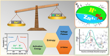 Graphical abstract: New insights into the charge storage chemistry of polymer cathodes in aqueous Zn batteries