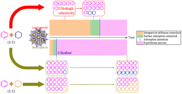 Graphical abstract: Fast adsorption and kinetic separation of benzene and cyclohexane/cyclohexene in a microporous metal azolate framework