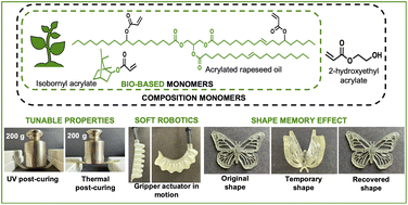Graphical abstract: A super-tough plant oil based elastomer for UV-light assisted 3D printed soft robotics and shape-memory