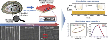 Graphical abstract: Multifunctional wrinkled nacreous all-carbon films for high-performance stretchable strain sensors and supercapacitors