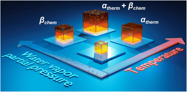 Graphical abstract: Fundamental and technological aspects of thermochemical expansion of proton-conducting oxides: a case study of BaSn1−xScxO3−δ