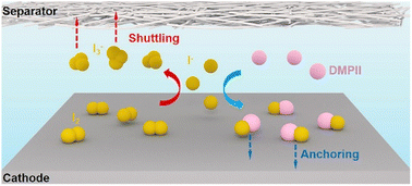 Graphical abstract: Commercially available ionic liquids enable high-performance aqueous zinc–iodine batteries: sequestered nitrogen-sites for efficient electrocatalytic iodine conversion