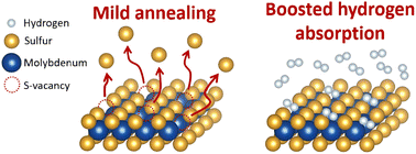 Graphical abstract: Hydrogen absorption boosting in mildly annealed bulk MoS2