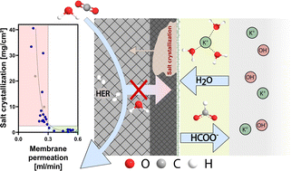 Graphical abstract: Unravelling the key role of ion-exchange membranes in water management and ion crossover for zero-gap CO2 electrolyzers