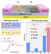 Graphical abstract: An ultra-sensitive and recyclable FET-type toxic gas sensor based on WTe2 monolayers