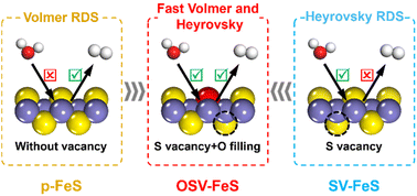 Graphical abstract: A full Volmer–Heyrovsky reaction catalyst based on sulfur vacancy structure optimization