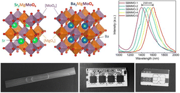 Graphical abstract: Long-wavelength near-infrared light emitting Ni2+-doped double perovskite molybdate-based solid-solution phosphors