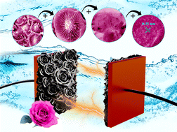 Graphical abstract: Wasted rose-derived porous carbons with unique hierarchical heteroatom-enriched structures as a high-performance supercapacitor electrode